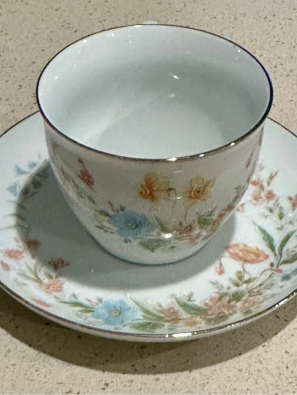 White Porcelain Teacup and Saucer with Pastel Floral Design and Gold Trim